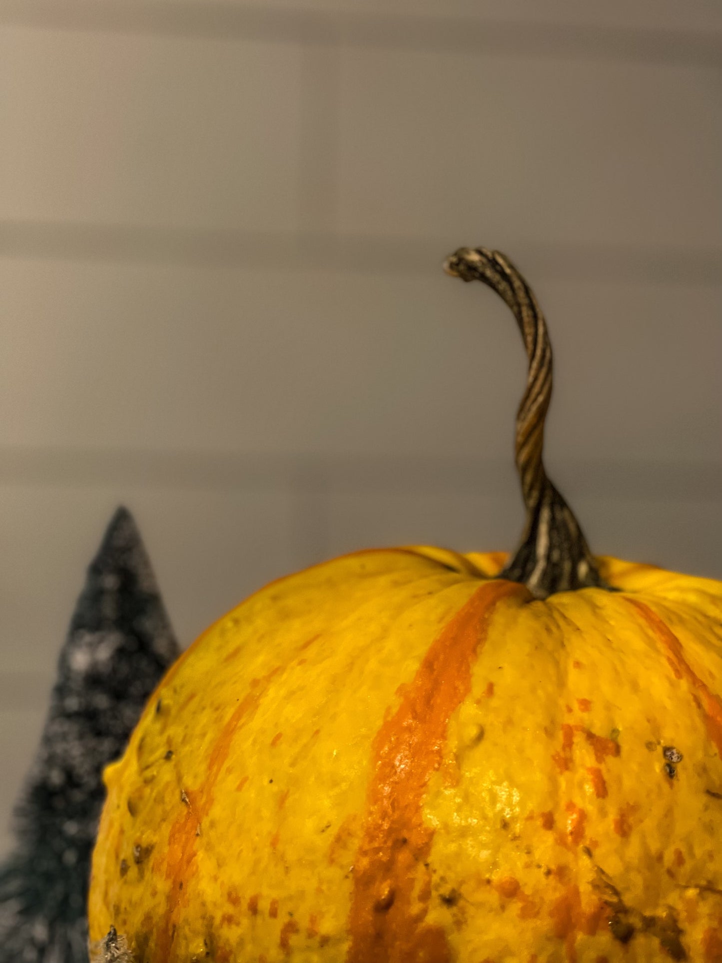 
                  
                    SEASONAL: "PUMPKIN SPICE" KOMBUCHA
                  
                